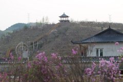 和龙拆迁-和龙市拆迁补偿标准，和龙市拆迁案例《收藏》