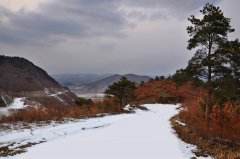关于龙井拆迁-龙井市拆迁补偿标准，龙井市拆迁案例
