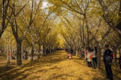 关于邳州拆迁-邳州市拆迁补偿标准，邳州市拆迁案例