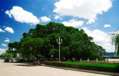 吉安拆迁-吉安市拆迁补偿标准，吉安市拆迁案例《收藏》